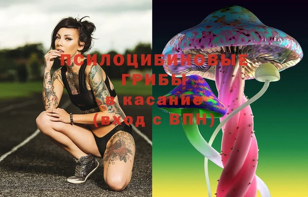 a pvp Нягань