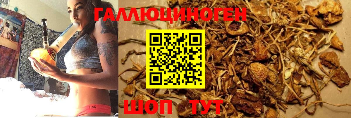Холмск  Галлюциногенные грибы Cubensis  Галлюциногенные грибы Psilocybine cubensis  магазин  наркотиков  Вход с VPN 